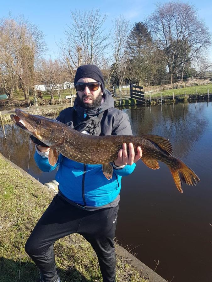 Camping De Oude Rijn Ter Aar Экстерьер фото